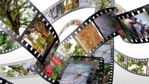 3 techniques pour dissimuler ses photos de la galerie du téléphone